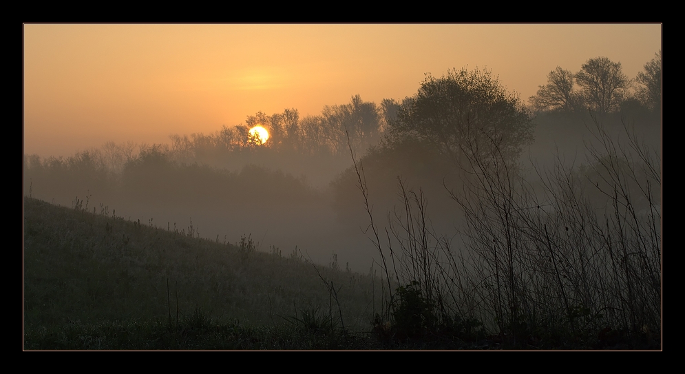 Morgennebel