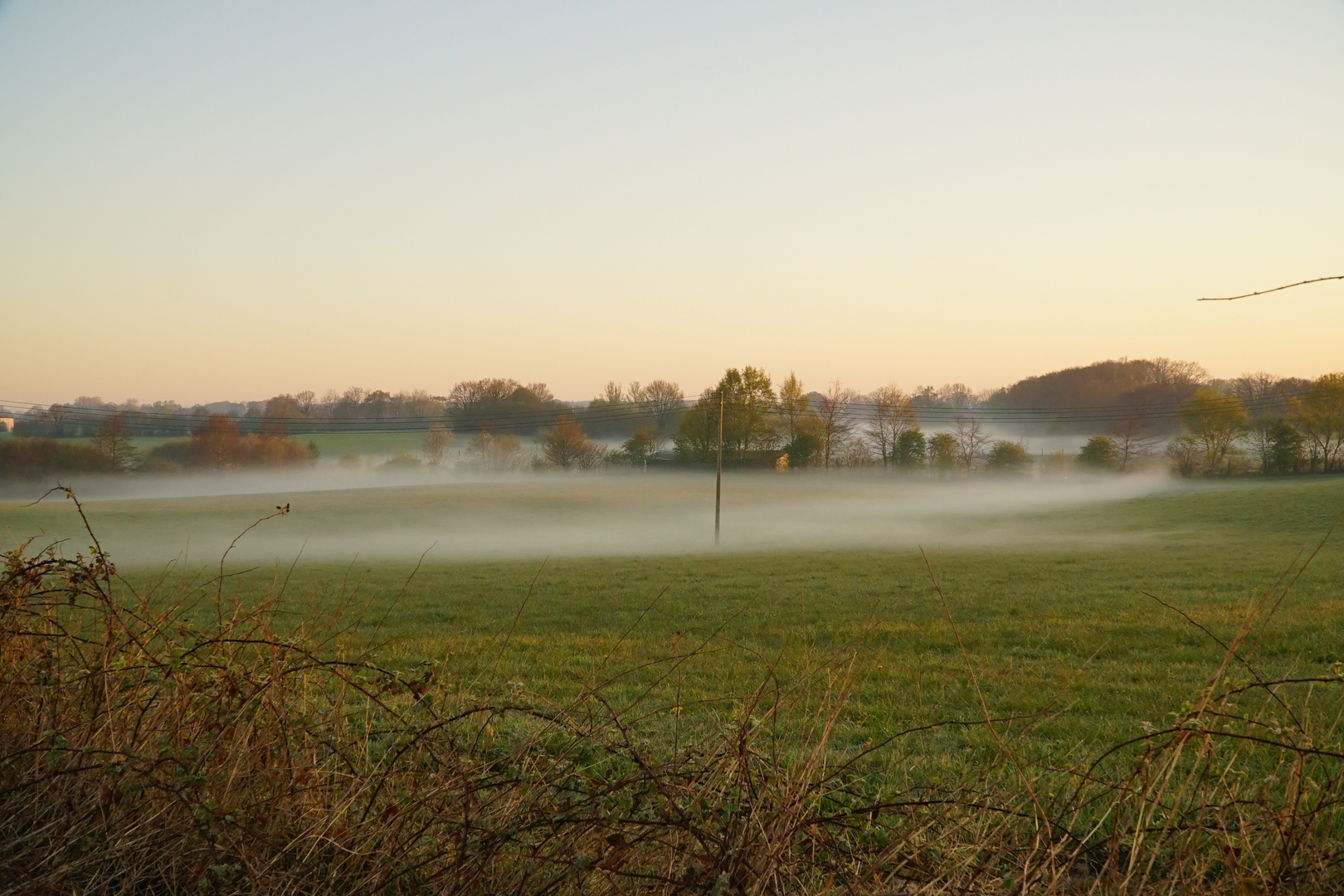 Morgennebel