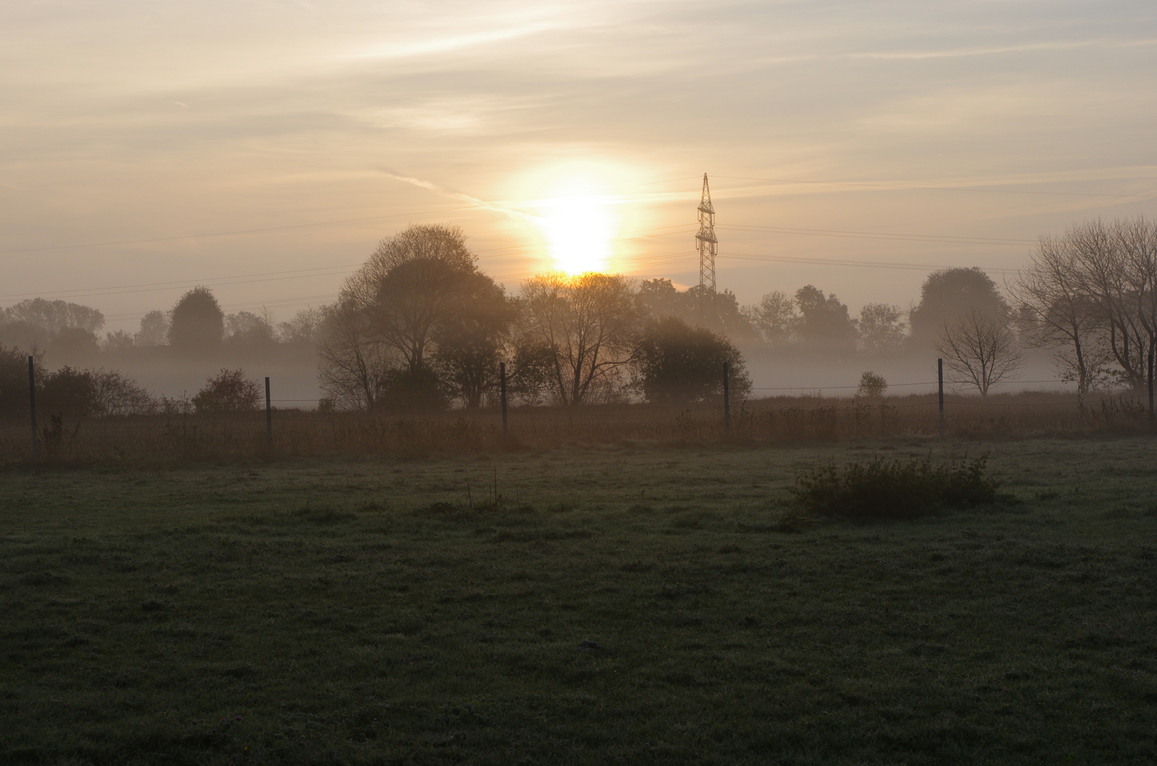 Morgennebel