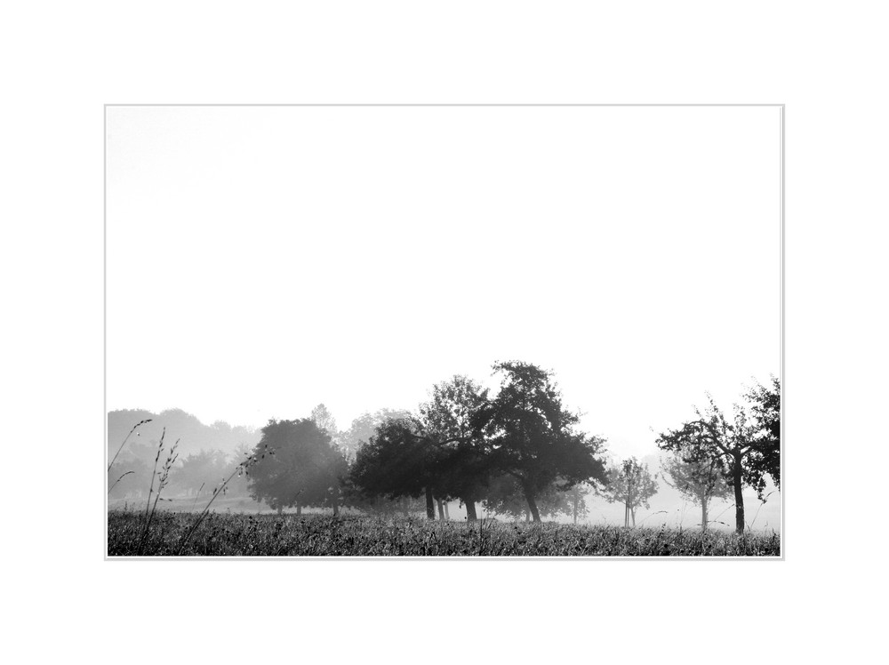 Get Disney vero beach 3 zimmer huette For Android Disney Vero Beach 3 Zimmer Huette