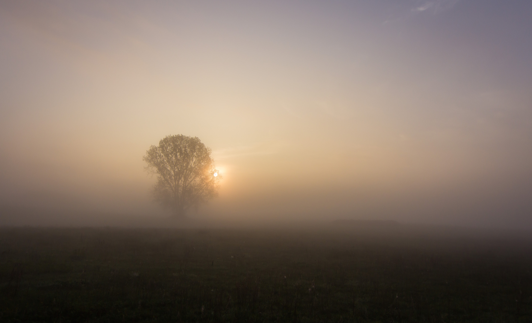 Morgennebel