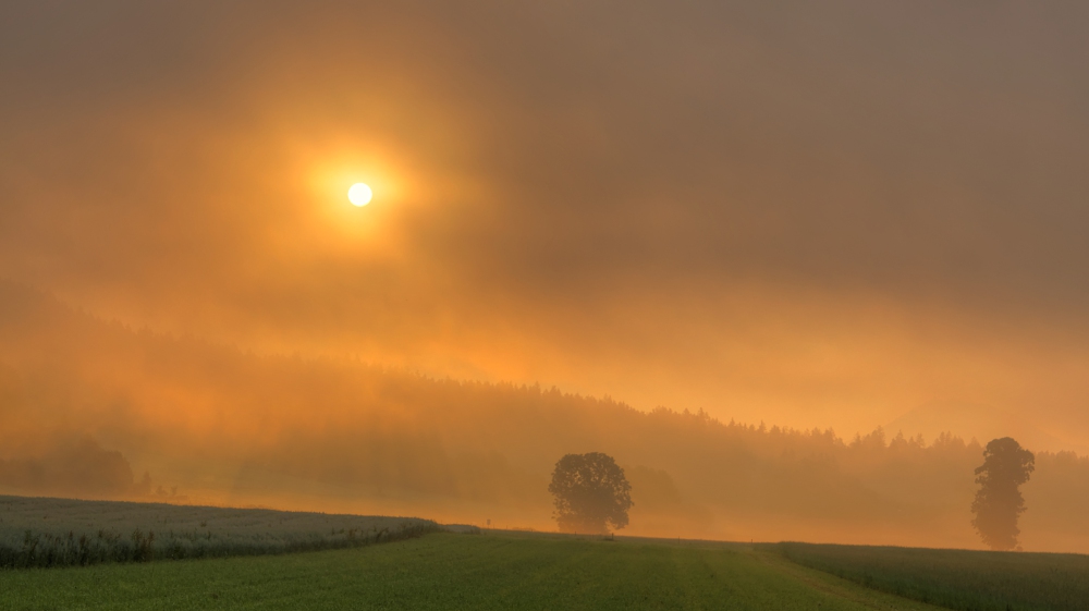 Morgennebel