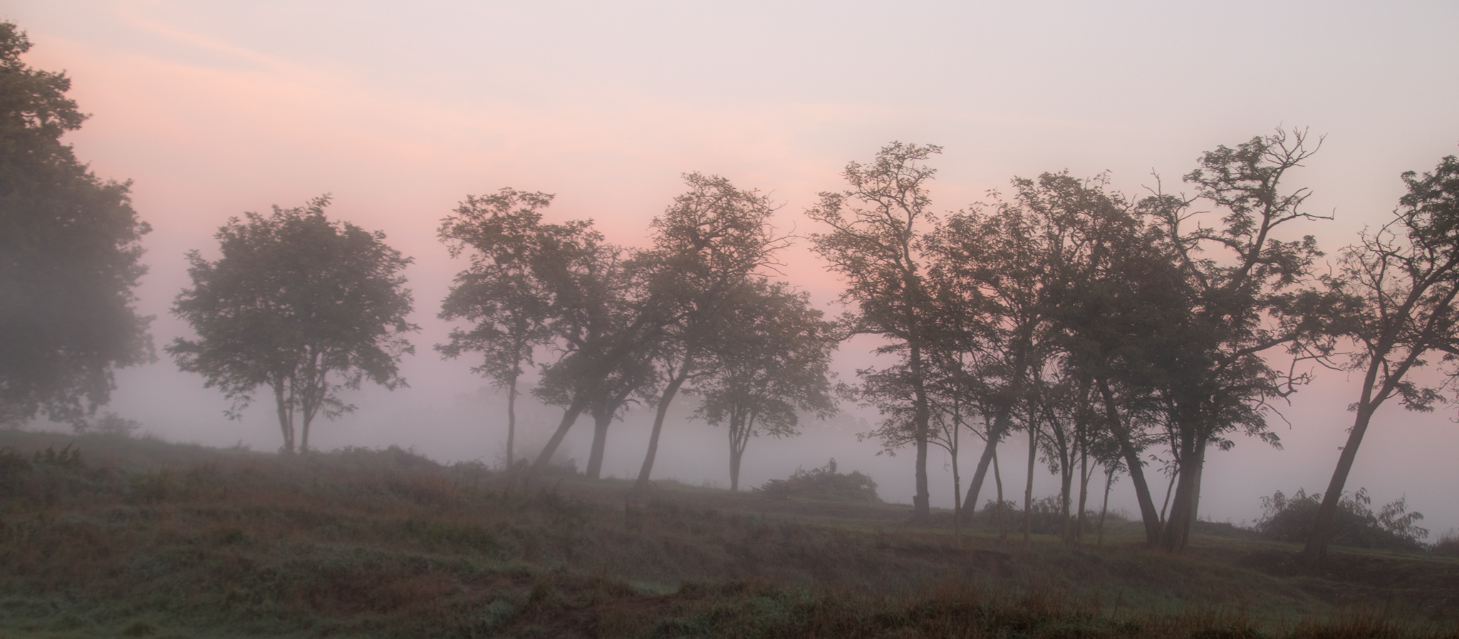 Morgennebel