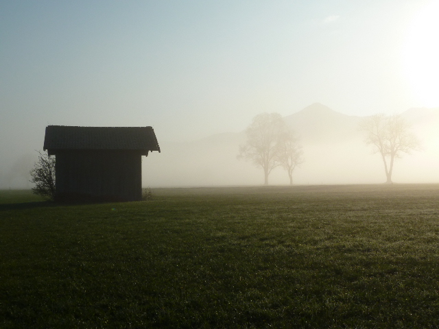 Morgennebel