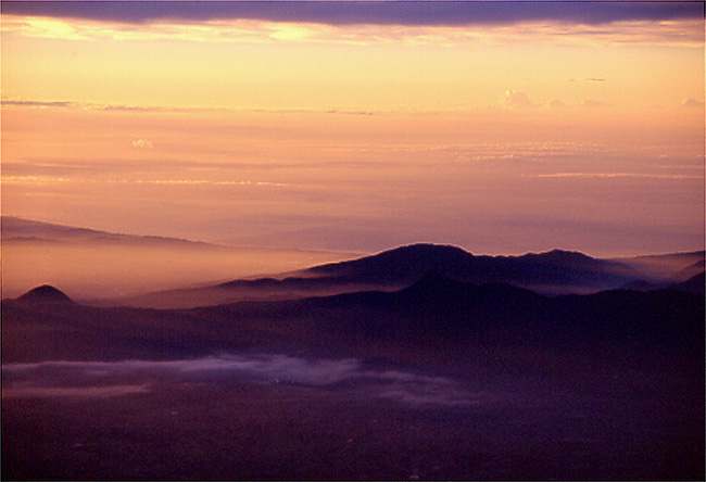 Morgennebel