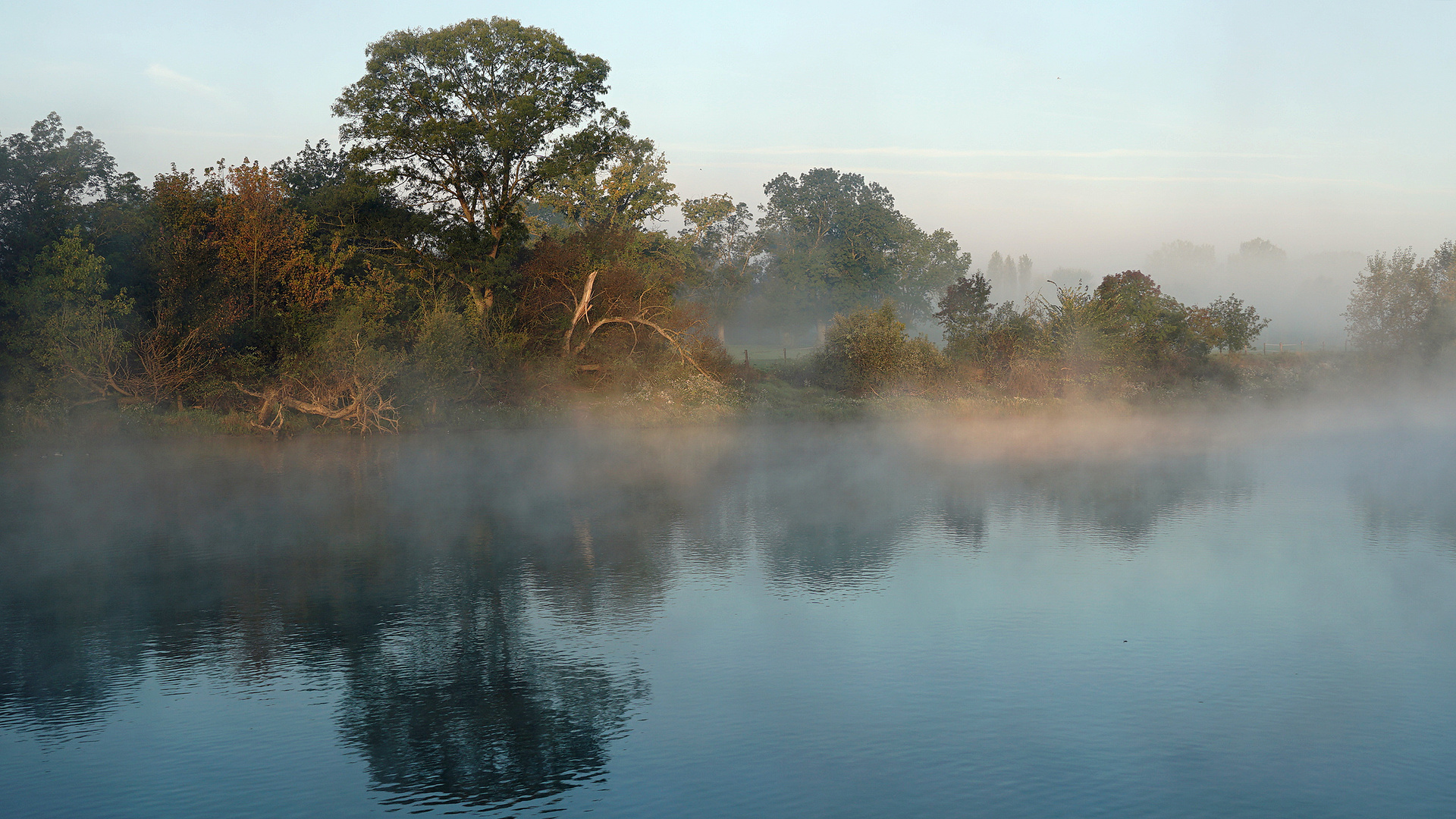 Morgennebel