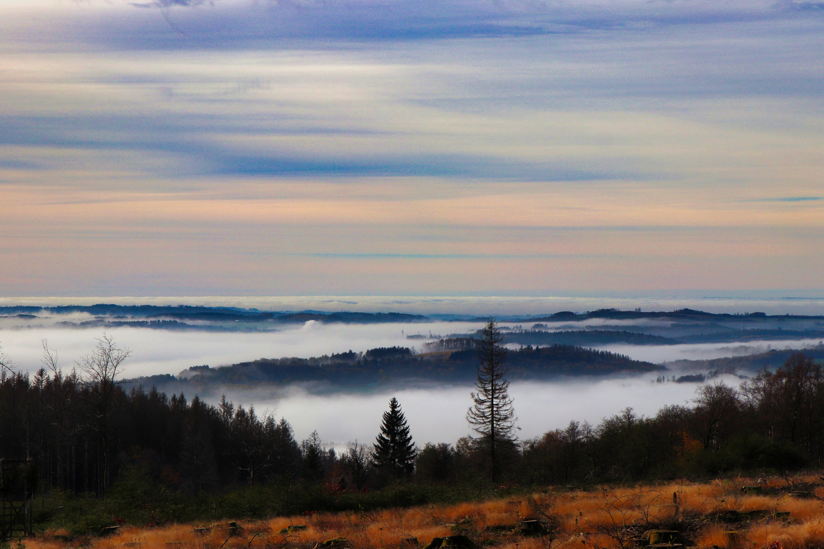 Morgennebel