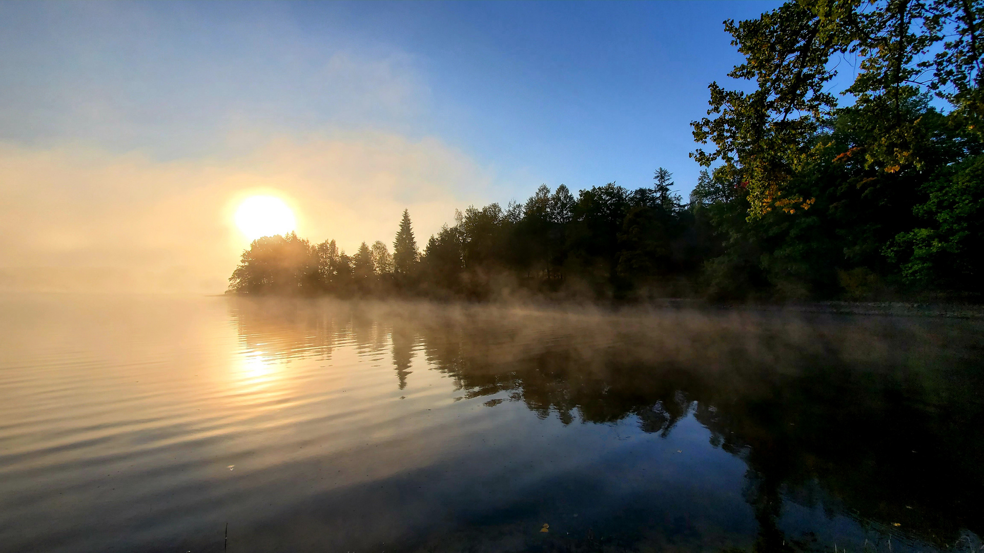 Morgennebel