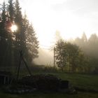 Morgennebel