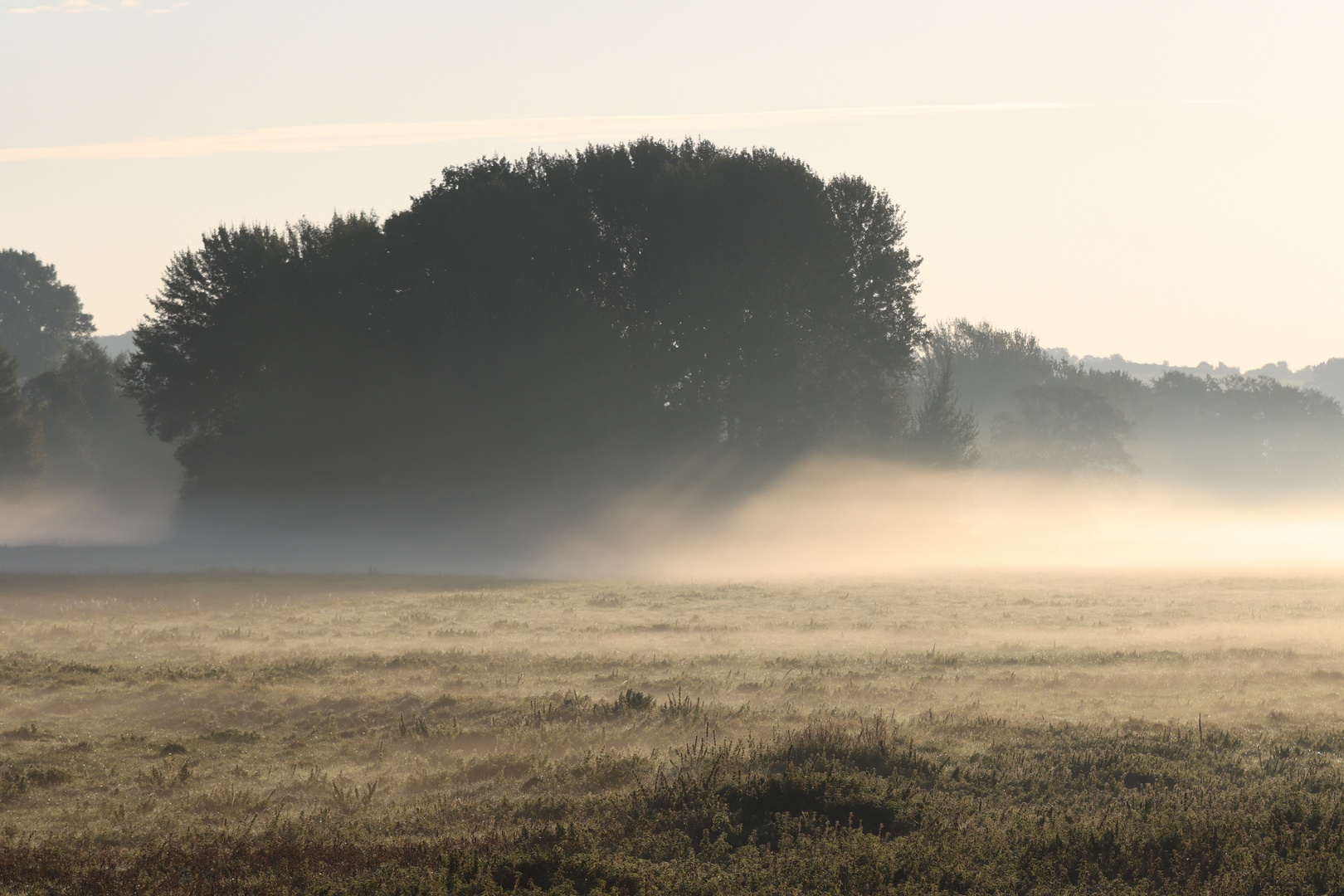 Morgennebel