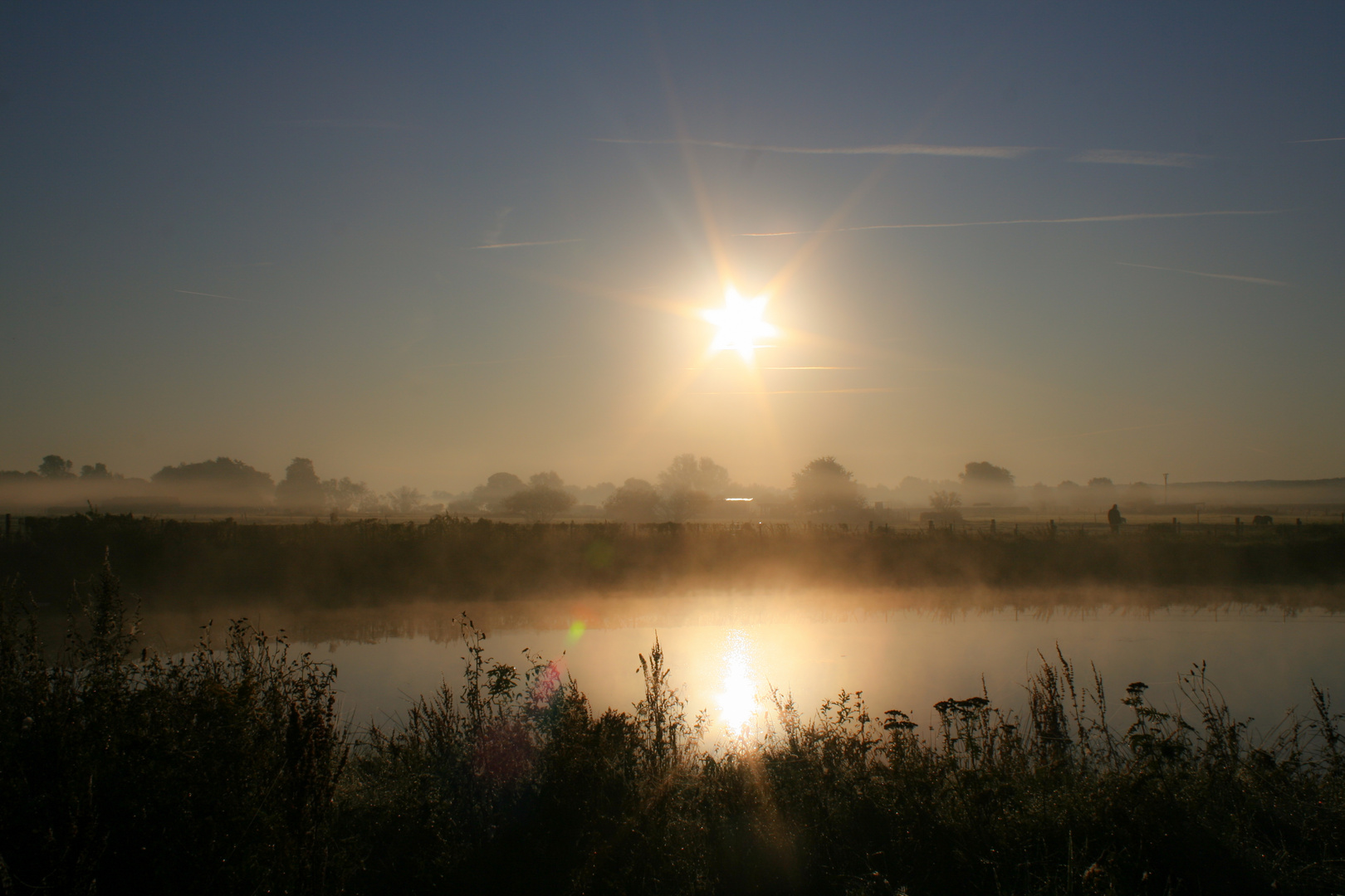 Morgennebel