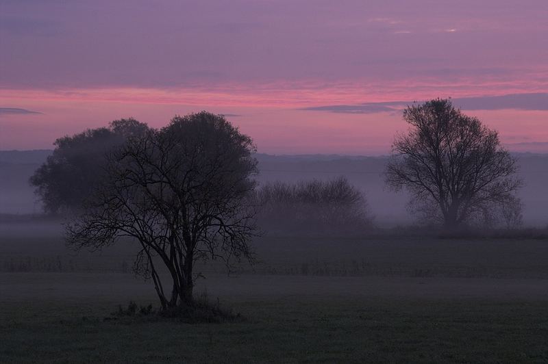 Morgennebel