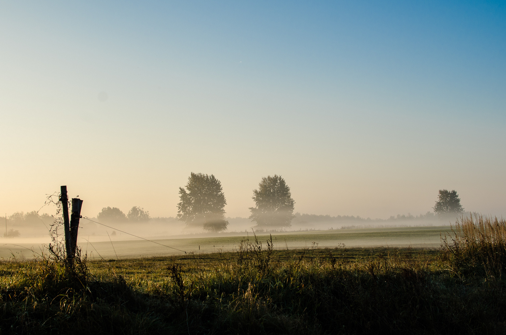 Morgennebel