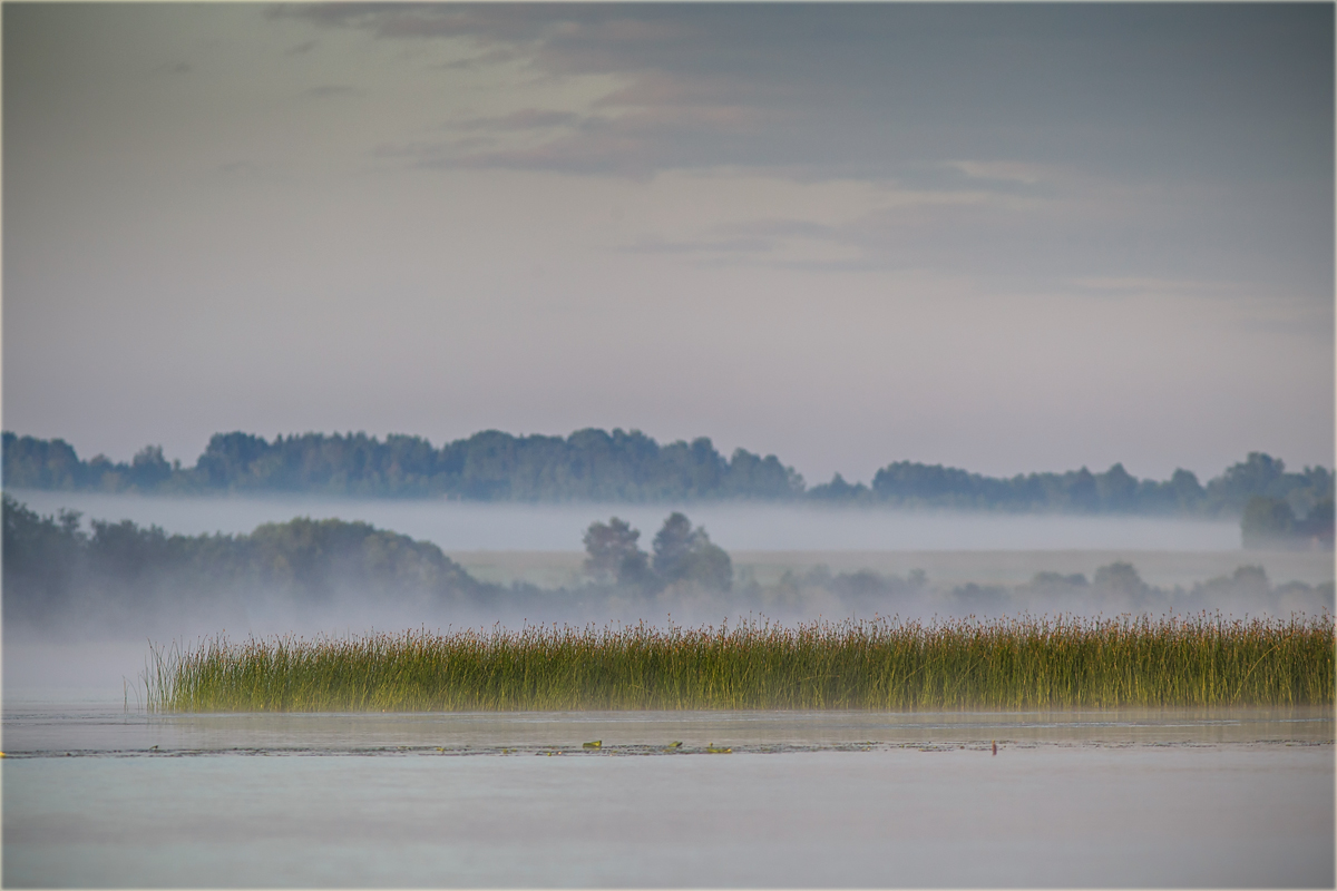 Morgennebel...