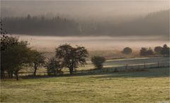 Morgennebel