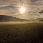 Morgennebel