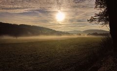 Morgennebel