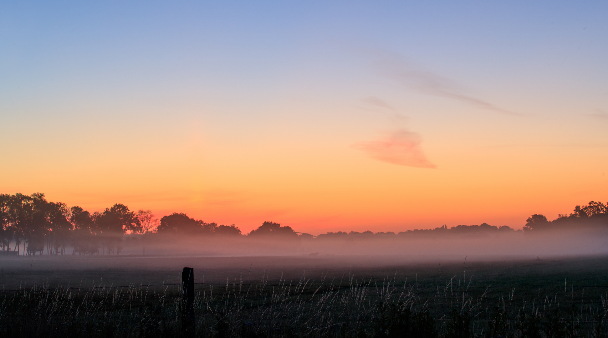 Morgennebel