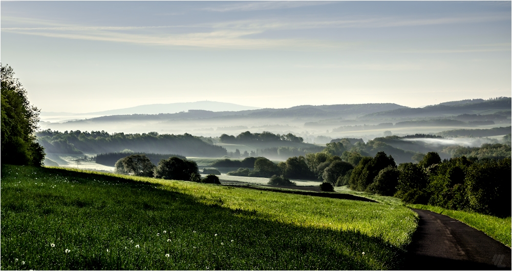 Morgennebel