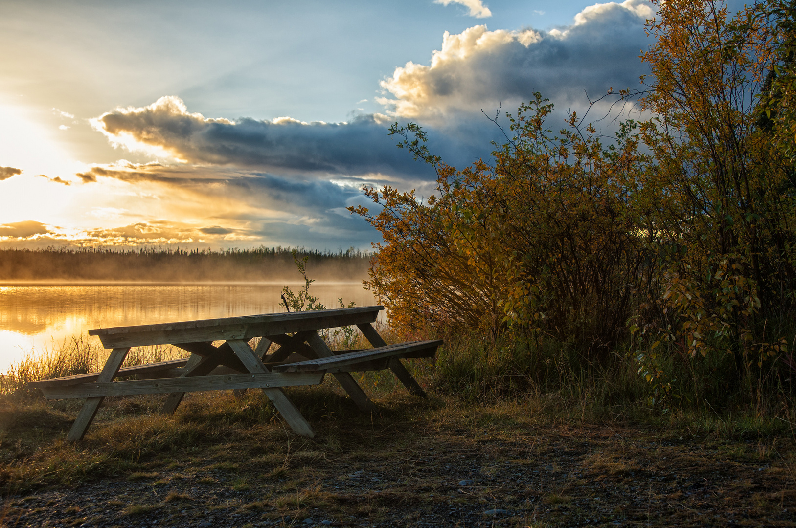 Morgennebel