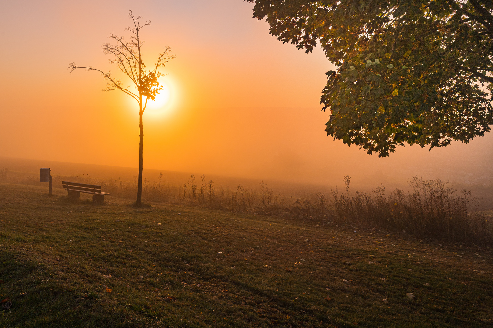 Morgennebel 