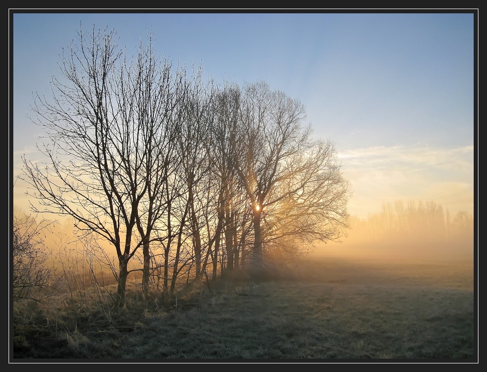 Morgennebel