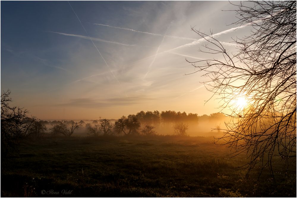 Morgennebel