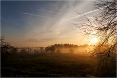 Morgennebel