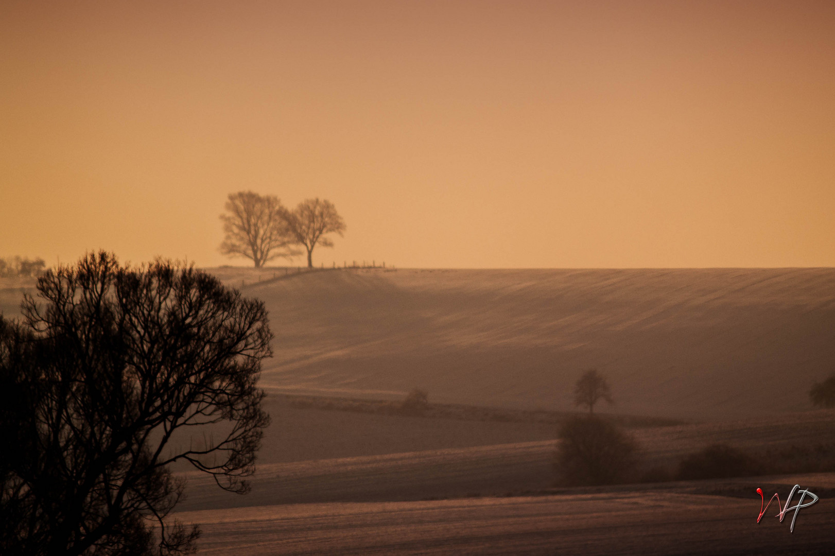 Morgennebel