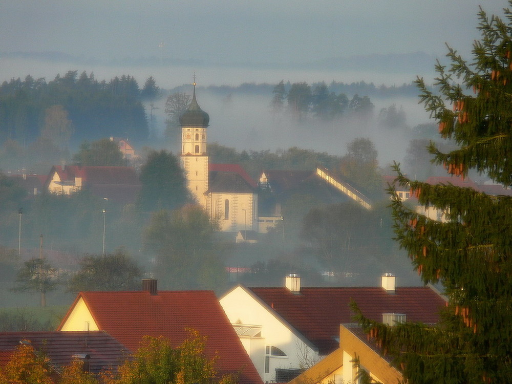 Morgennebel