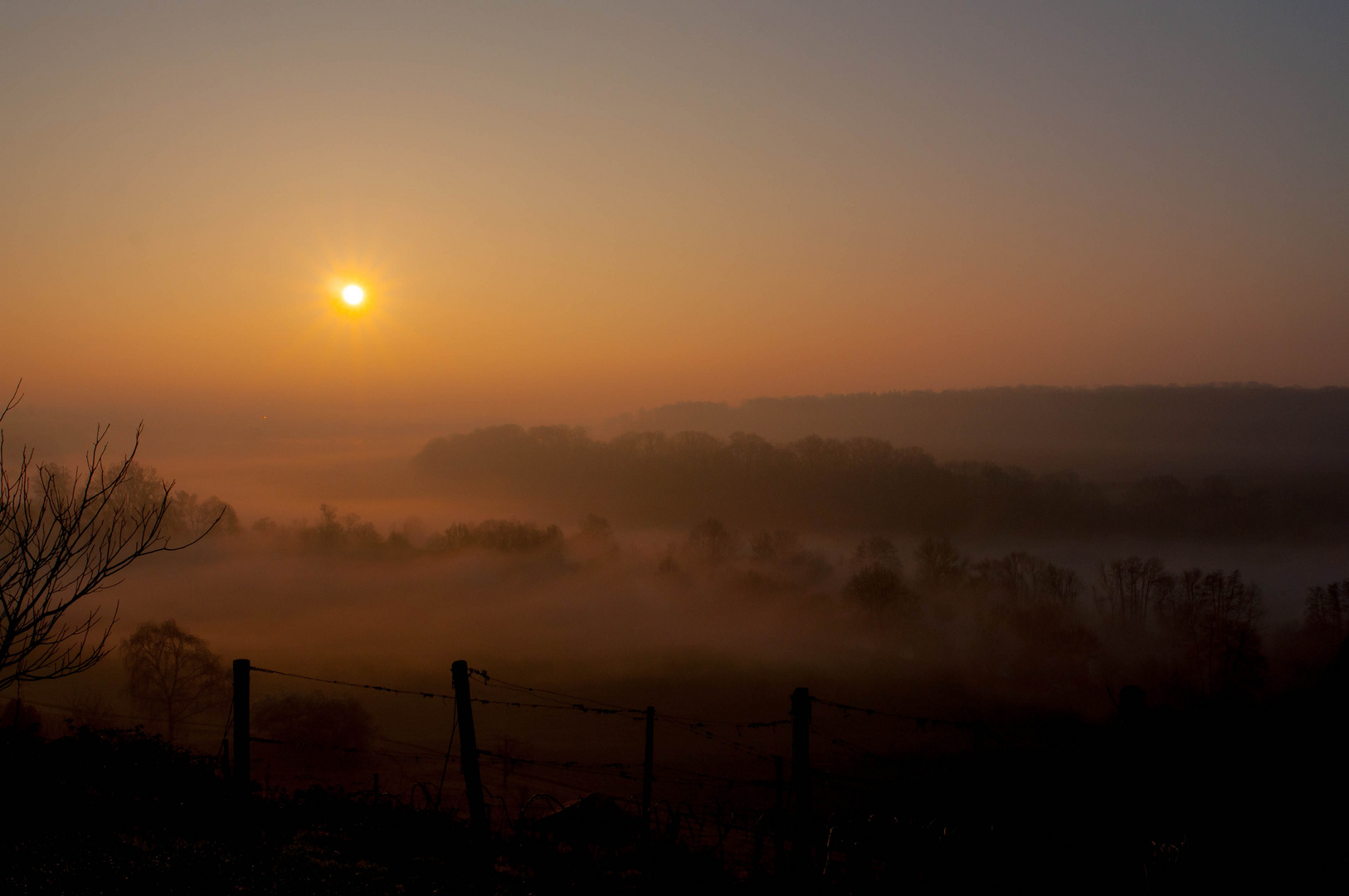 Morgennebel