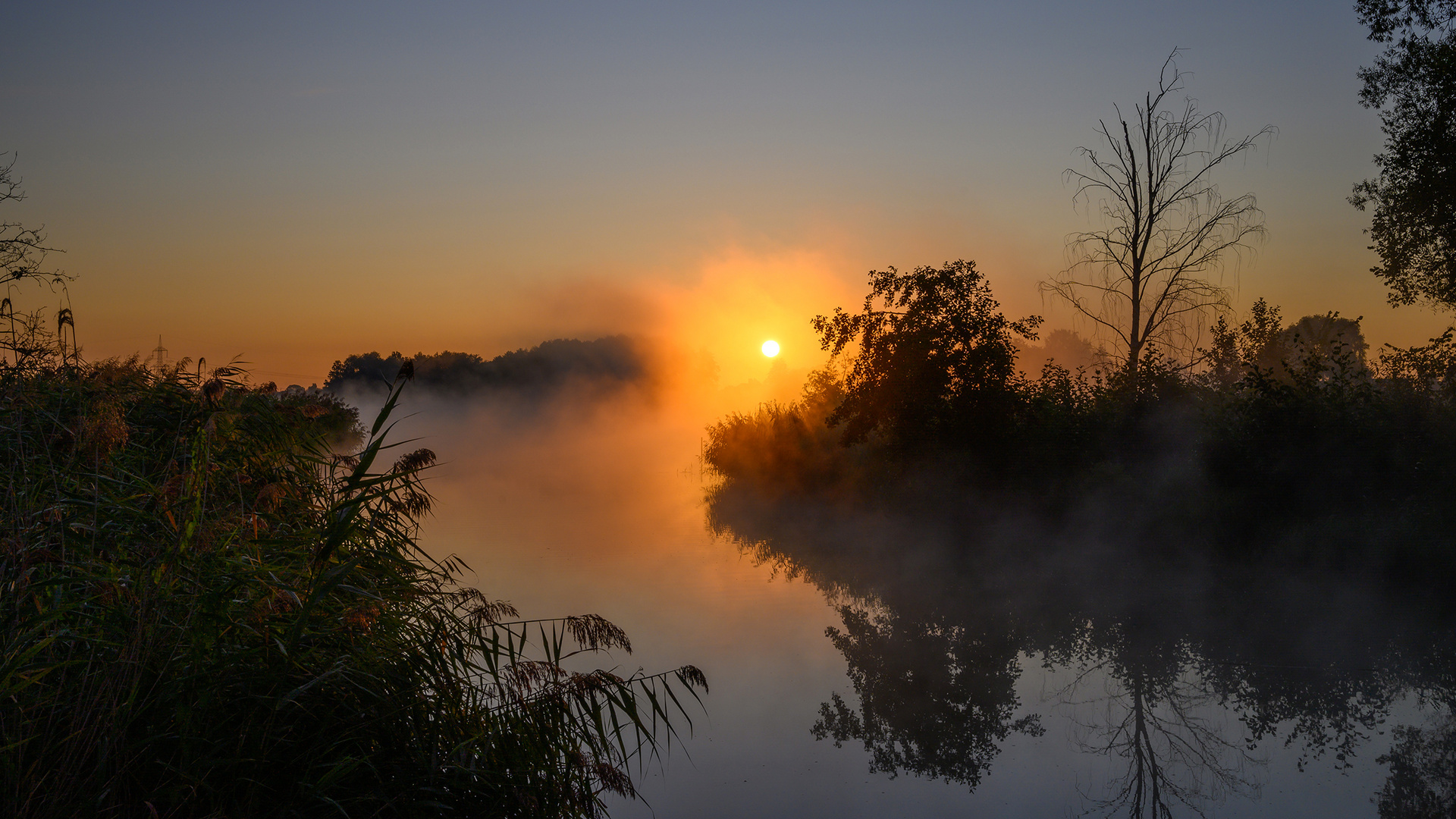 Morgennebel