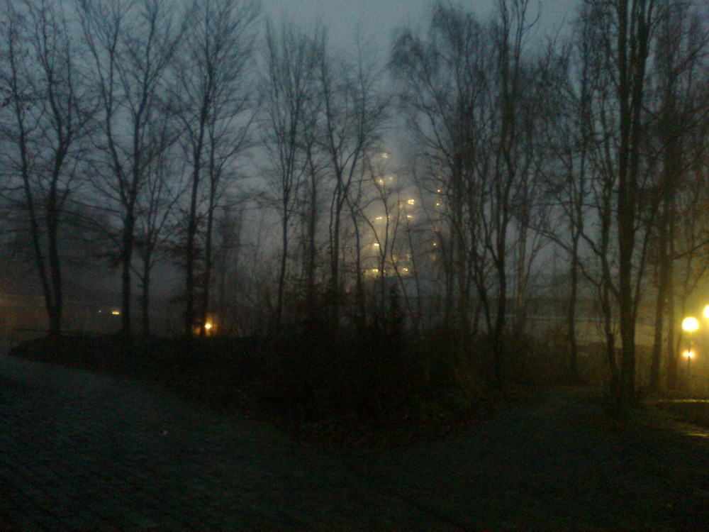 Morgennebel