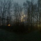 Morgennebel