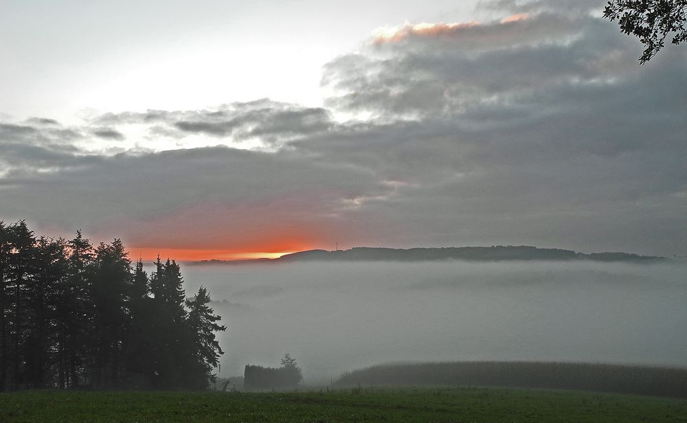 MORGENNEBEL