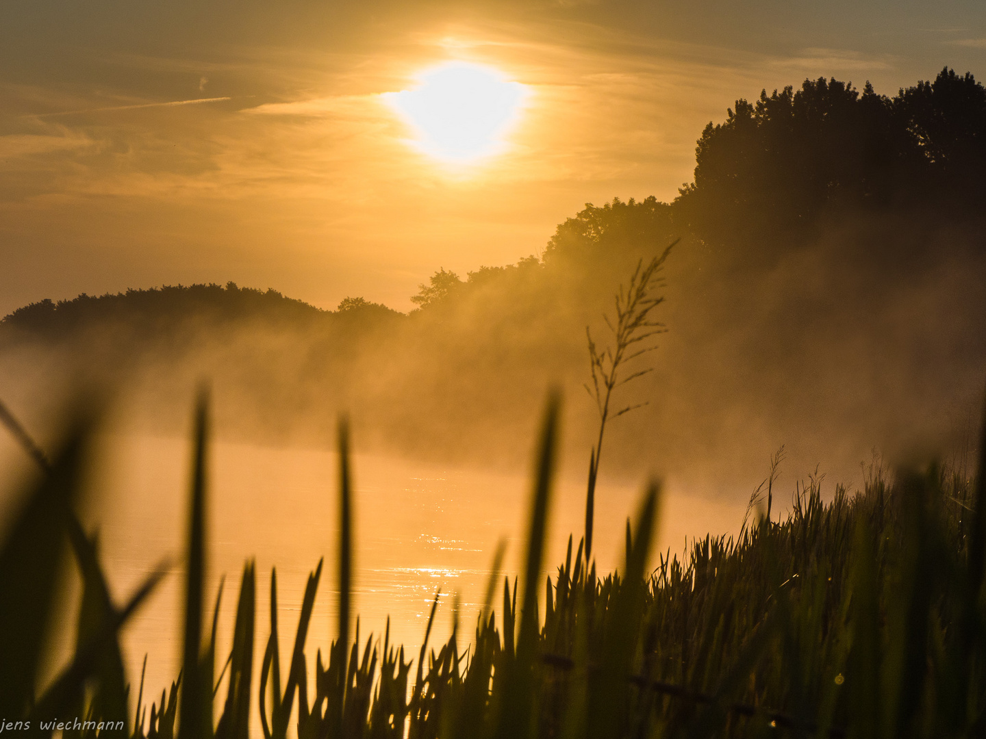 Morgennebel