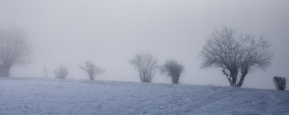 Morgennebel