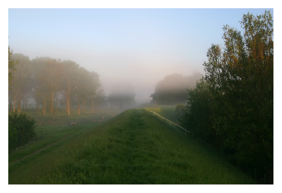 Morgennebel