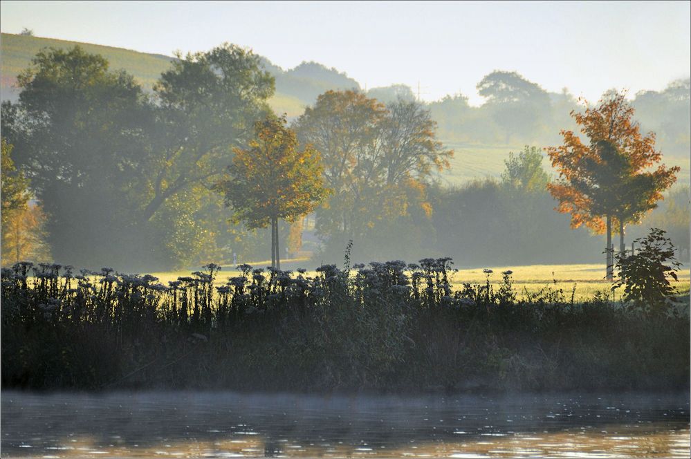 Morgennebel....