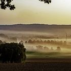 Morgennebel