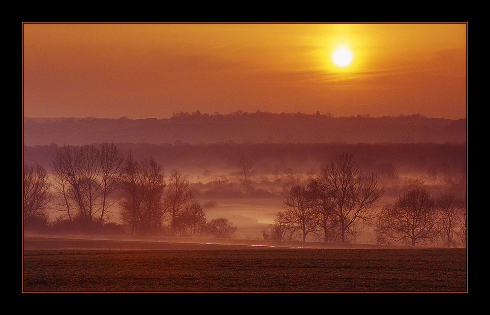 Morgennebel... von Sandra Bartocha