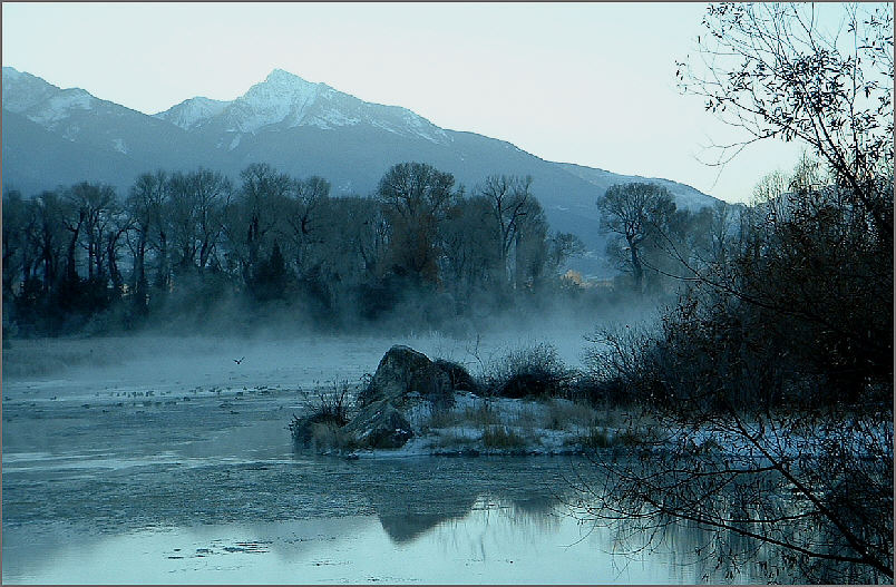 Morgennebel