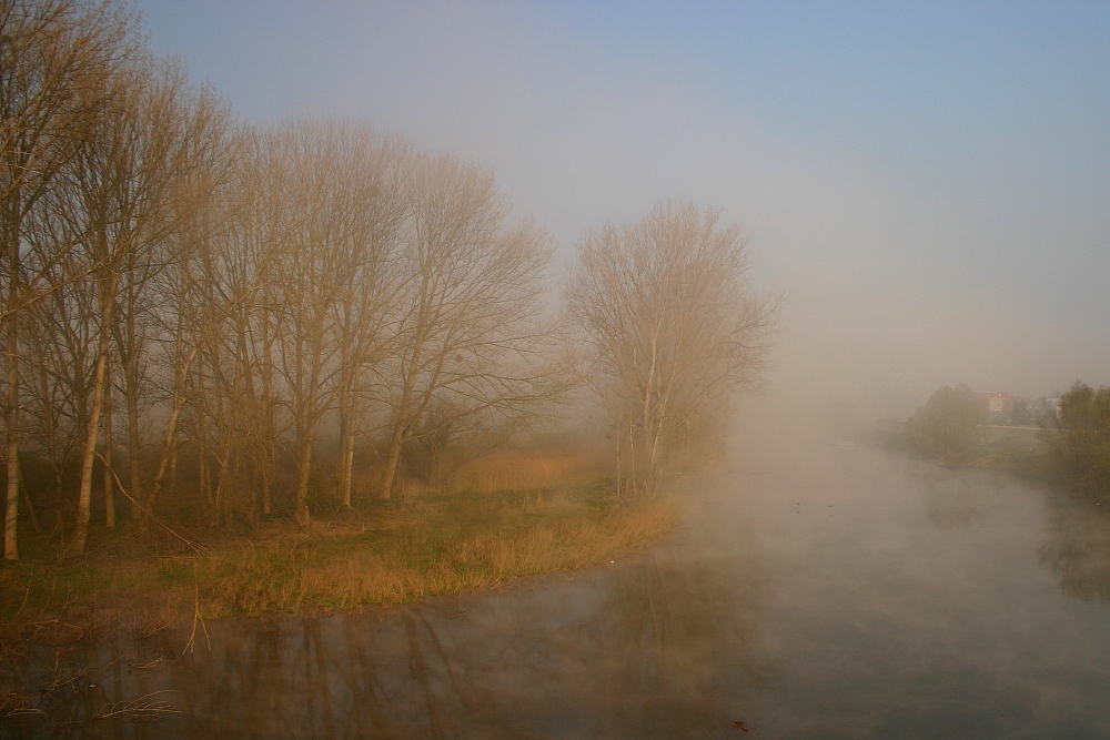 Morgennebel