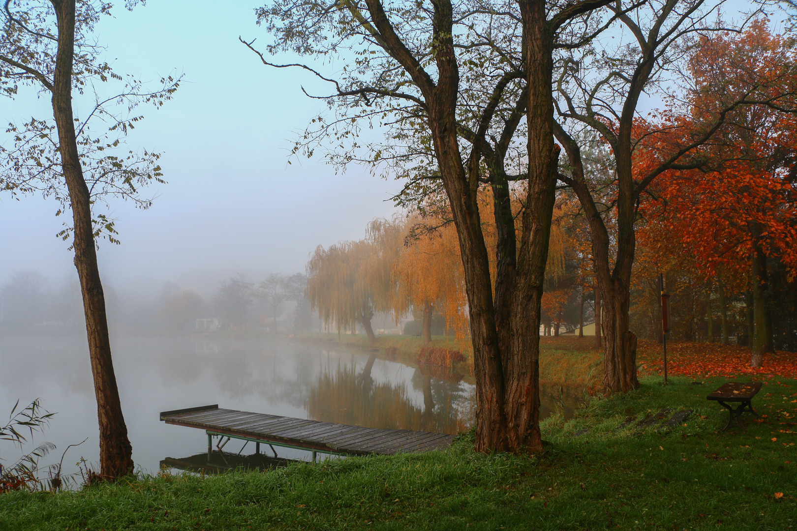 Morgennebel...