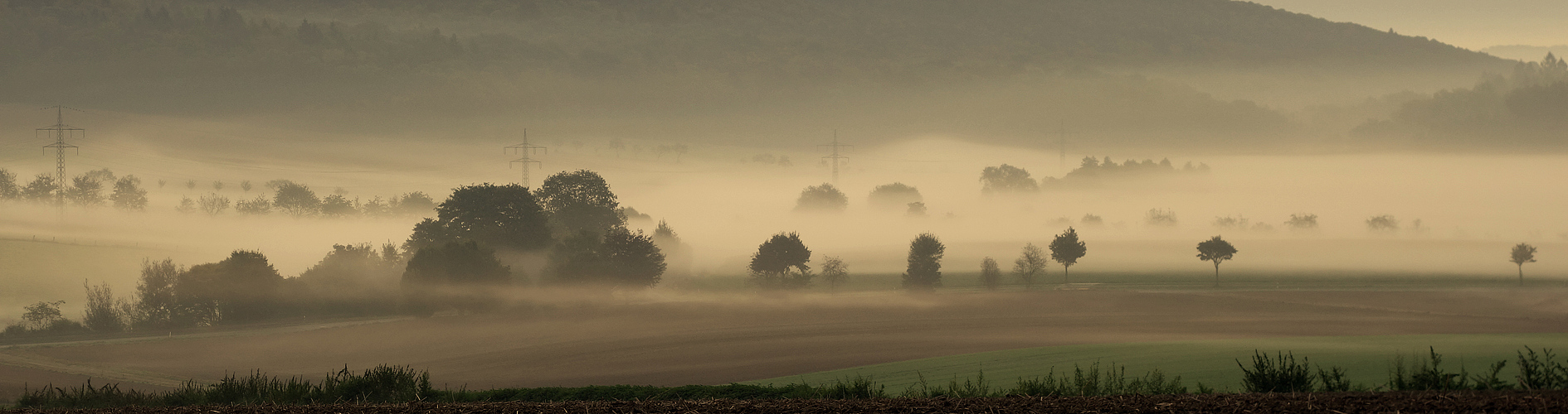 Morgennebel