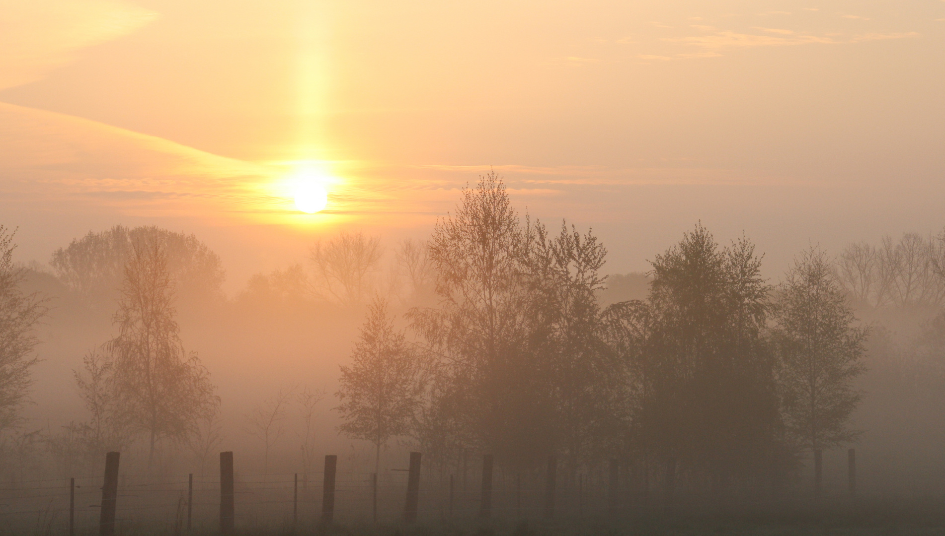 Morgennebel