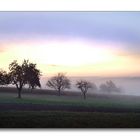 Morgennebel