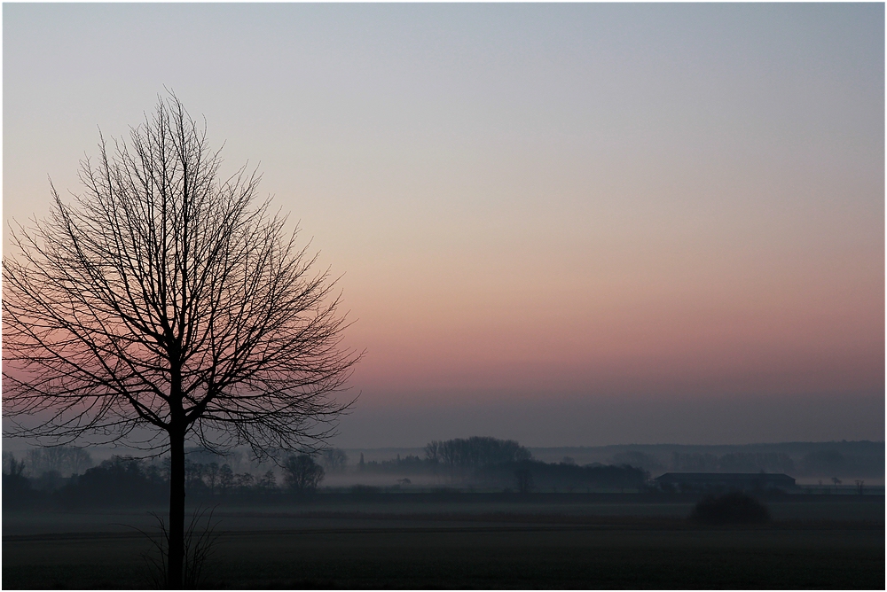 Morgennebel