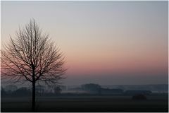 Morgennebel