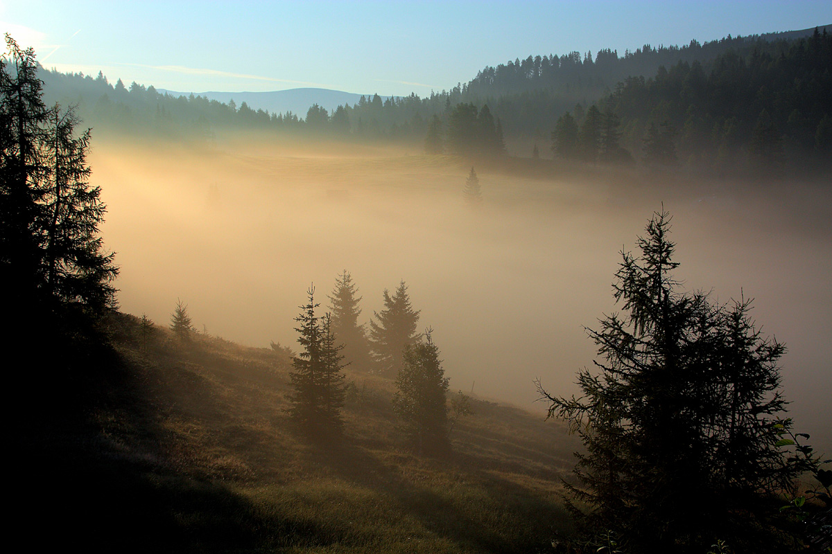 Morgennebel